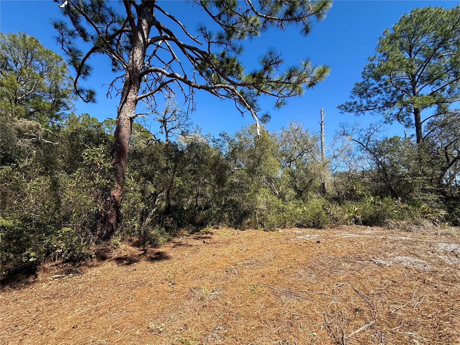 ROYAL TRAILS UNIT 01 - Land