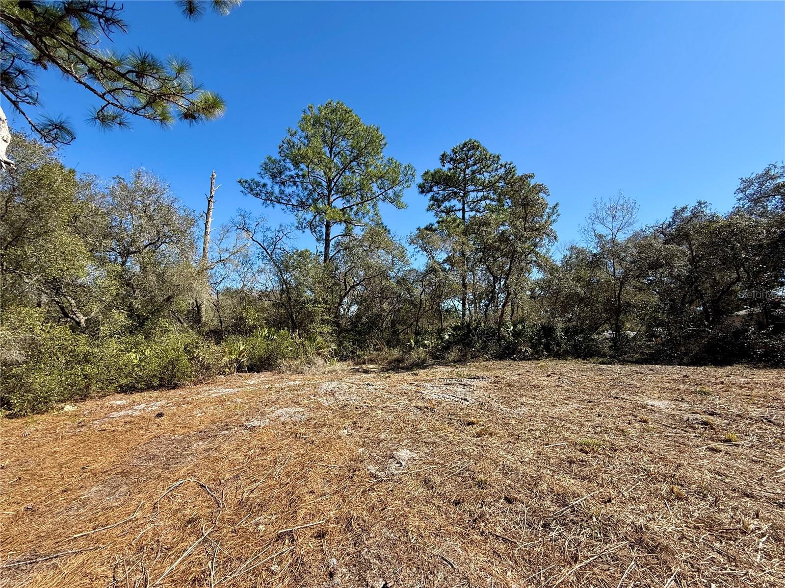 ROYAL TRAILS UNIT 01 - Land