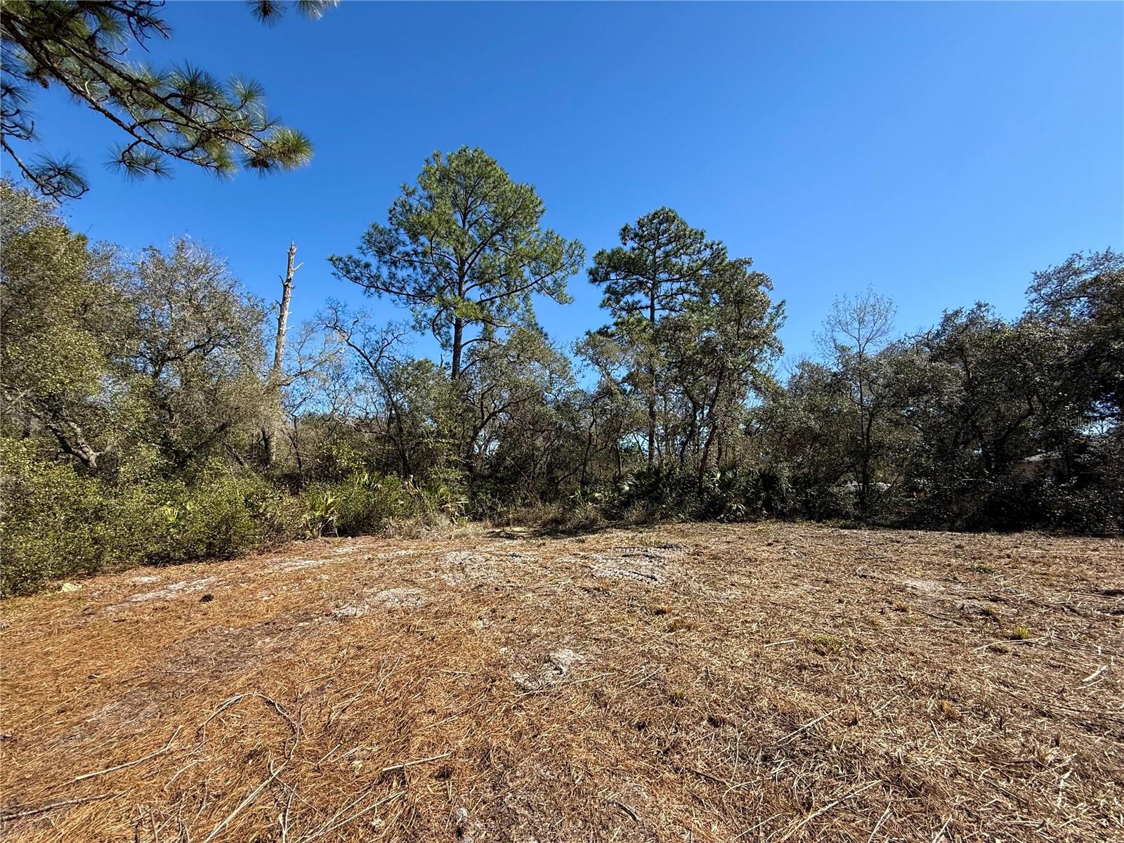 ROYAL TRAILS UNIT 01 - Land