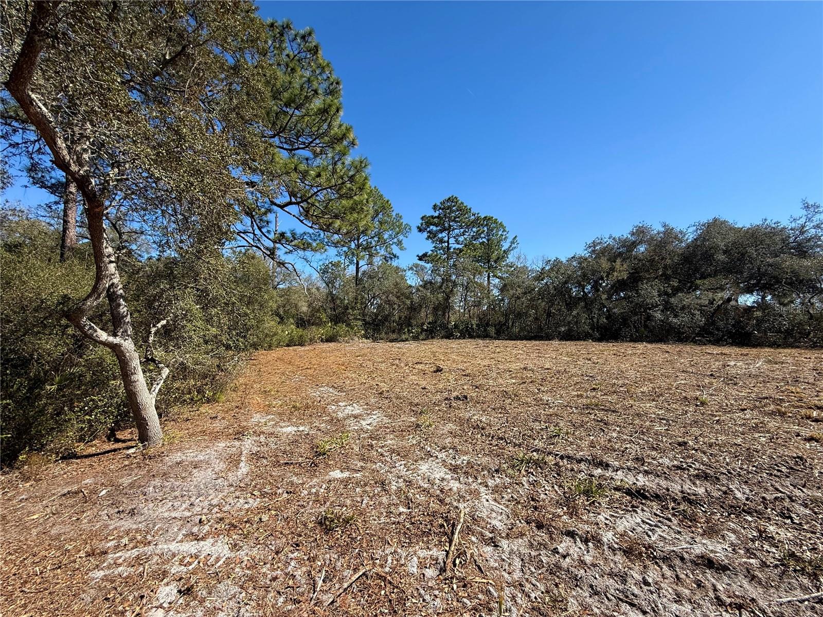 ROYAL TRAILS UNIT 01 - Land