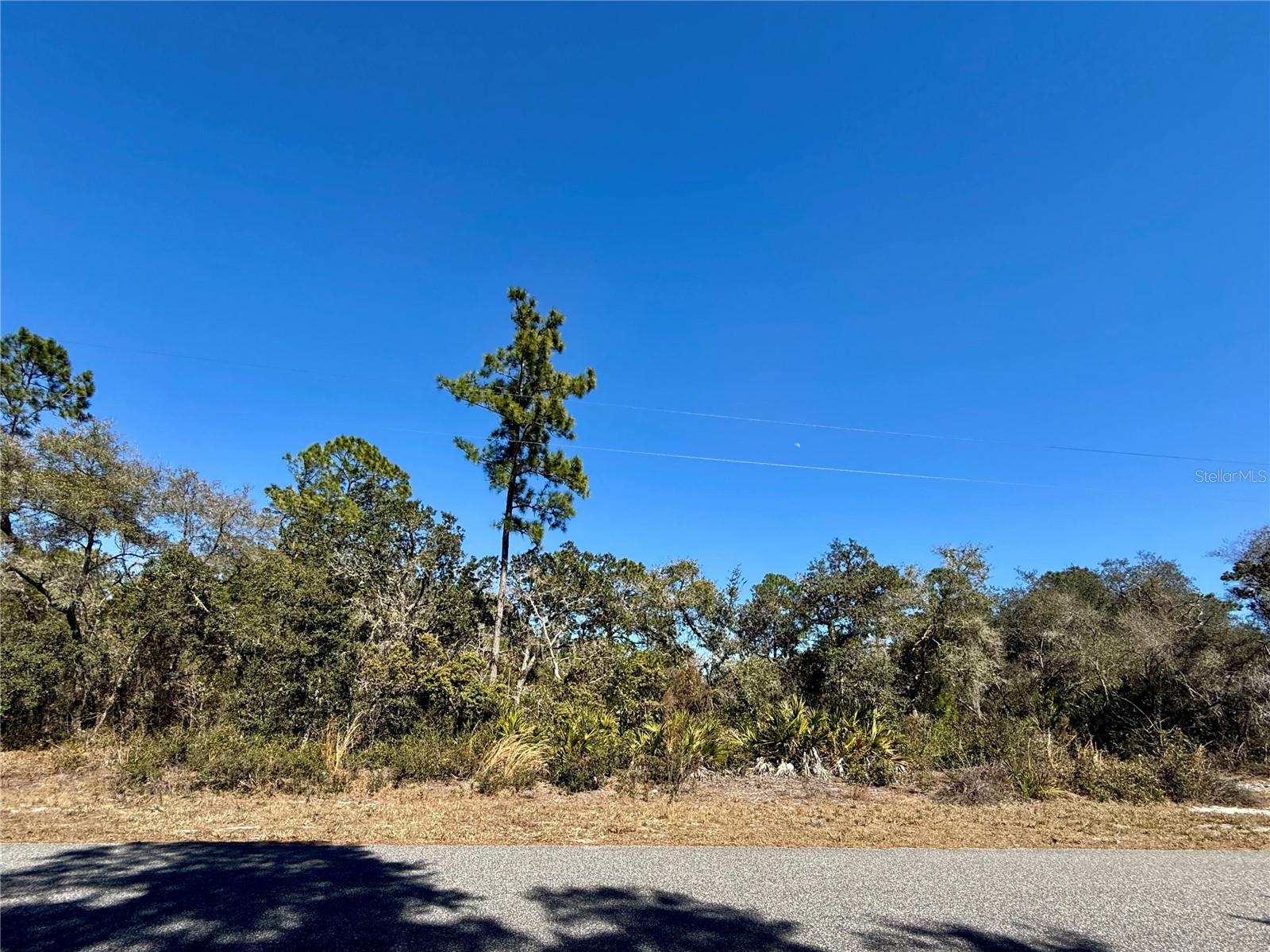 ROYAL TRAILS UNIT 01 - Land