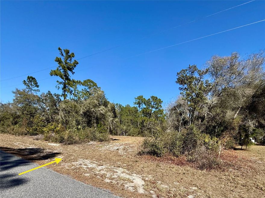 1 acre homesite for sale in Equestrian Royal Trails Subdivision, where nature, freedom, and Florida living come together. This beautiful lot offers no time limit to build; the HOA is $92 a Year—giving you flexibility to design the home you’ve always imagined. Choose any builder you like, and once your home is complete, you may park your RV and boat right on your property. The zoning allows two horses an acre. Enjoy access to Lake Norris and Lake Marion, along with amenities including a park, playground, and enclosed pavilion with many activities throughout the year. A Lot Exemption for Density has been approved, and Boundary SURVEY is available. Come explore this peaceful neighborhood and see the potential for yourself—drive by today and experience the beauty of Royal Trails. Royal Trails is a deed restrictive community, no mobile, modular or manufacture homes allowed.