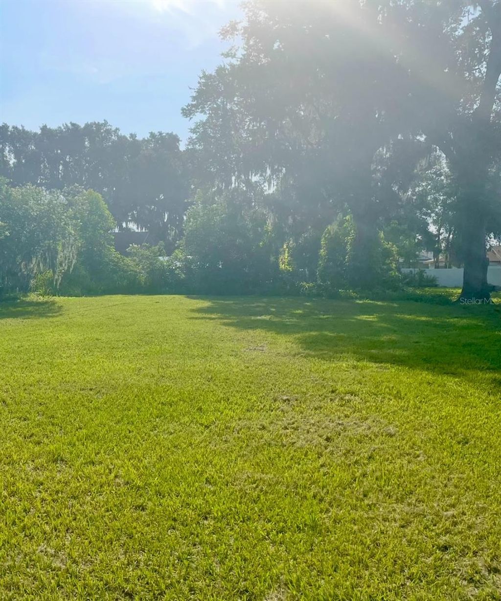 Photo of 109 SE Pine Avenue, Fort Meade, FL 33841 (MLS # P4935273)