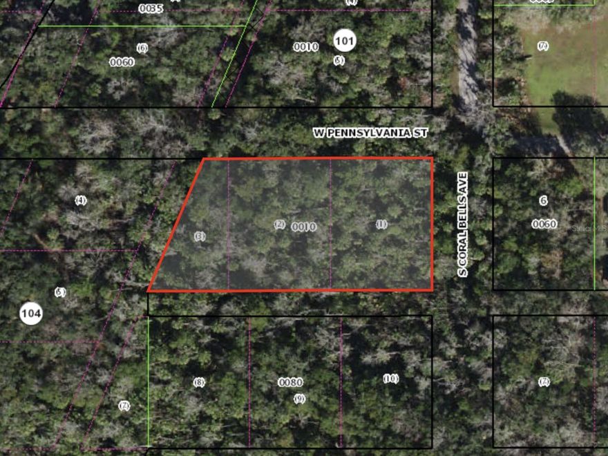 Endless possibilities await on this spacious 0.75-acre lot in the heart of Homosassa, FL, — ideal for a single-family home, mobile home, or manufactured home! With plenty of room to spread out, you can create the lifestyle you've been dreaming of — whether that's a private residence, a seasonal retreat, or even a homestead with space for gardening, outdoor toys, and more. No HOA means you have the freedom to bring your boat, RV, or work vehicles without hassle. Located just minutes from the Homosassa River, public boat ramps, shopping, dining, and the Gulf of Mexico, this property offers the best of Florida's Nature Coast. Quiet, convenient, and full of potential — make this lot yours today and start building your future!