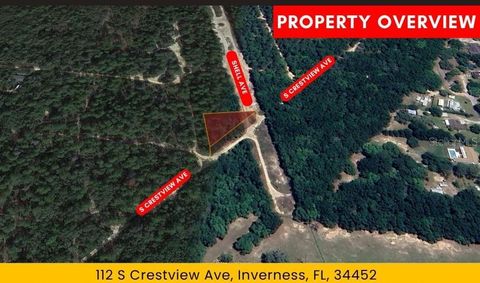 112 S CRESTVIEW AVENUE INVERNESS FL 34452
