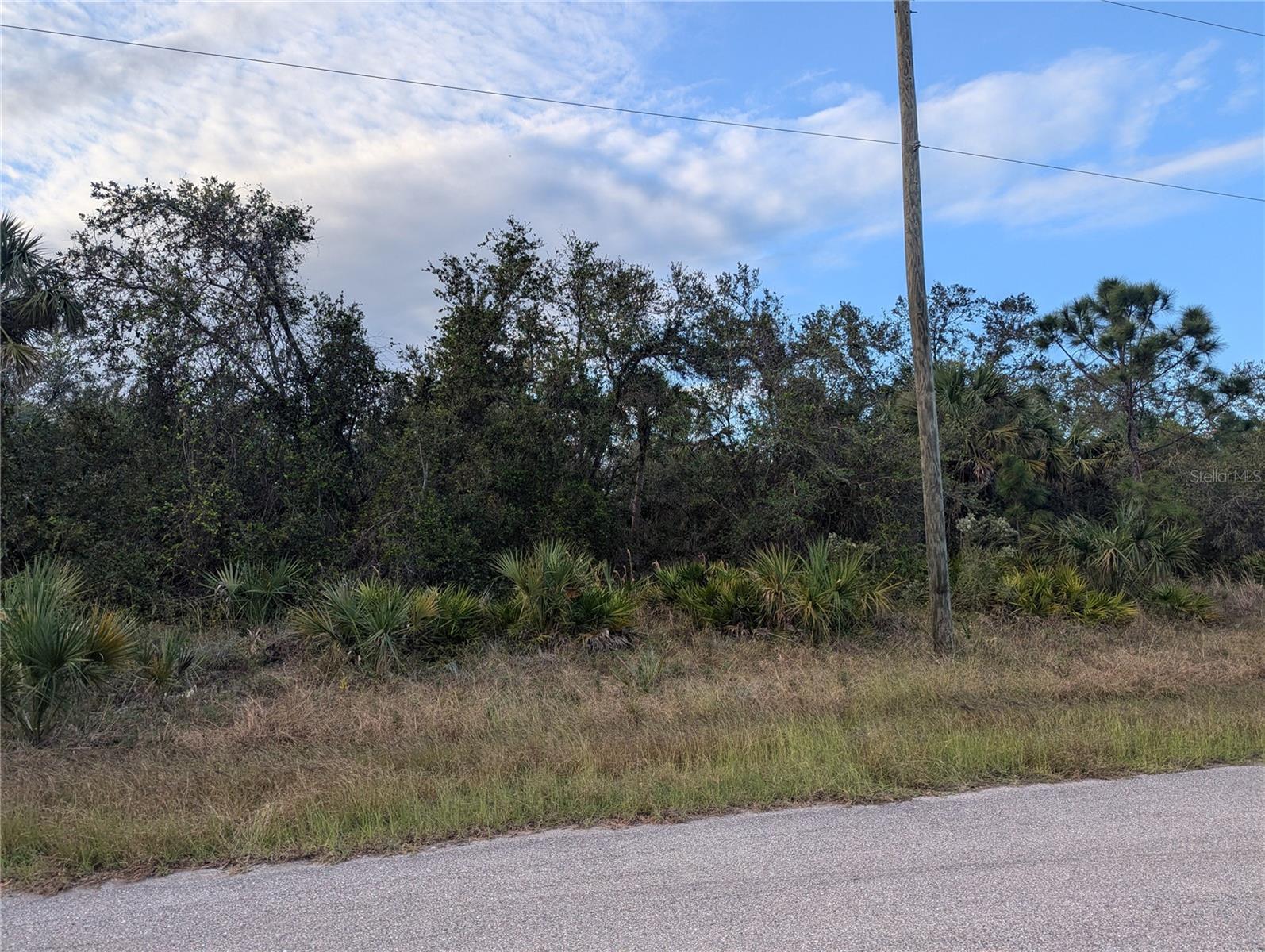 Looking for the perfect place to build your dream home? This developing neighborhood is waiting for you! This oversized corner lot is located between North Port and Port Charlotte so you can enjoy shopping and dining from both areas. Electricity is already available on the lot, providing a huge savings and value to the new buyer ready to build! Like sports? The Tampa Bay Rays spring training stadium, Charlotte Sports Park, is 15 minutes up the road for all those sports fans. For our boating and fishing enthusiasts, launch your boat at Spring Lake Parks boat ramp, 13 minutes away, or Charlotte Beach Public Boat Ramp, about 17 minutes away, both with access to Peace River, Charlotte Harbor and out to the Gulf! World-class fishing is here and waiting for you! Close to I-75 and the Punta Gorda Airport, offering quick access for the traveler in you. Take advantage of an opportunity to own this amazing lot, build your new home, and start living the Florida lifestyle! What are you waiting for? Seller also has adjoining lots available to add to this parcel if you want an even larger lot to build on!