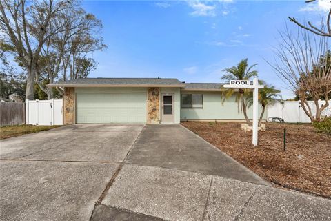 Photo of 60 Durham Court, Palm Harbor, FL 34683 (MLS # W7882788)