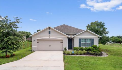 A home in DELTONA