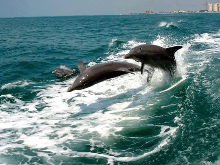 VERONA RESERVE - Residential