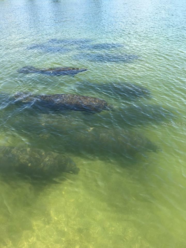 VERONA RESERVE - Residential