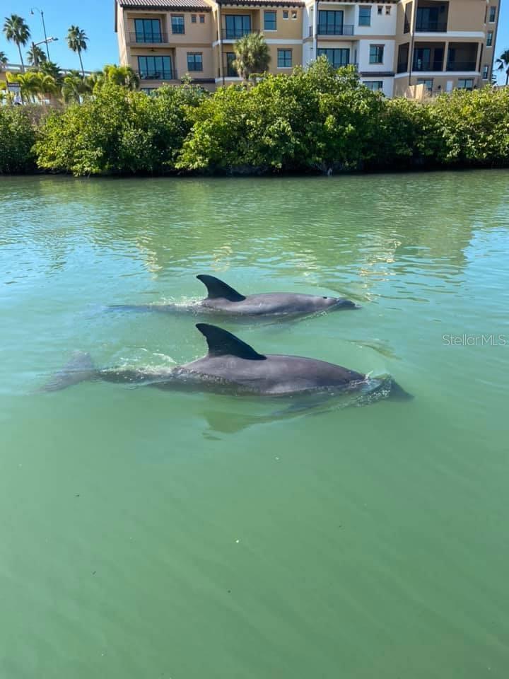 VERONA RESERVE - Residential