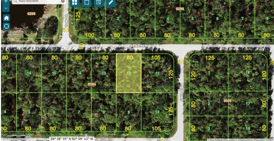 Great location to build your dream home or invest in the future.  Located in Pt. Charlotte this lot is close to the intersection of Collingswood Blvd. and Edgewater Dr. with easy access to the beaches and highways for shopping and restaurants.  Southern Exposure ideal for adding the swimming pool to your future home.