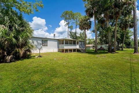 Photo of 24031 Armadillo Road, Astor, FL 32102 (MLS # V4944768)