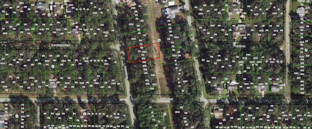 Photo of 913 N Rooks Avenue, Inverness, FL 34453 (MLS # TB8473398)