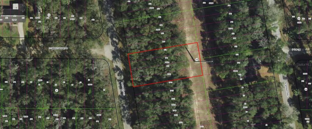 Photo of 913 N Rooks Avenue, Inverness, FL 34453 (MLS # TB8473398)