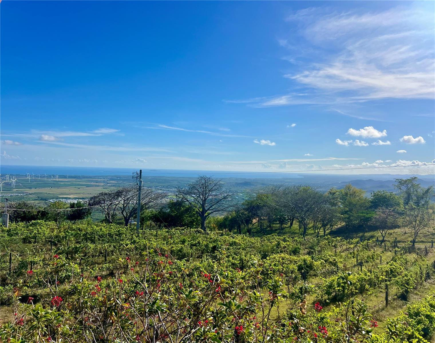 PR 154 KM 1.2 INT BO JAUCA II