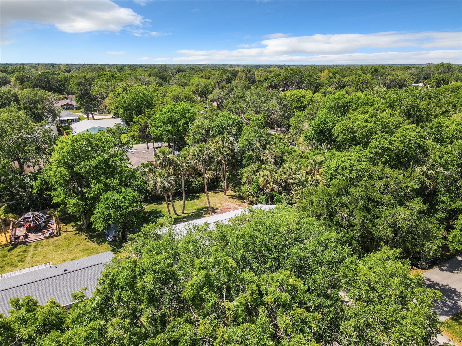 Florida Shores 01 - Residential