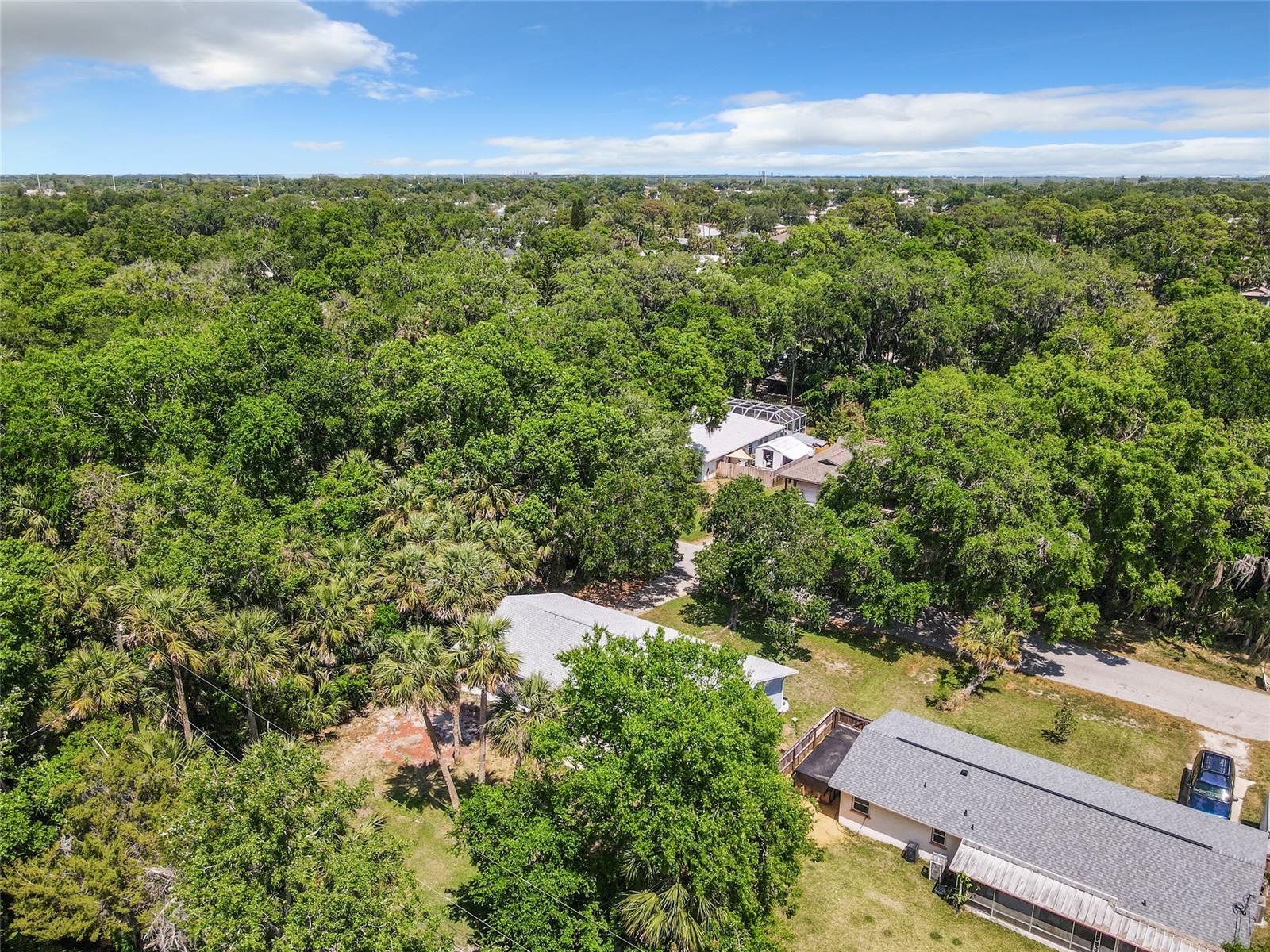 Florida Shores 01 - Residential