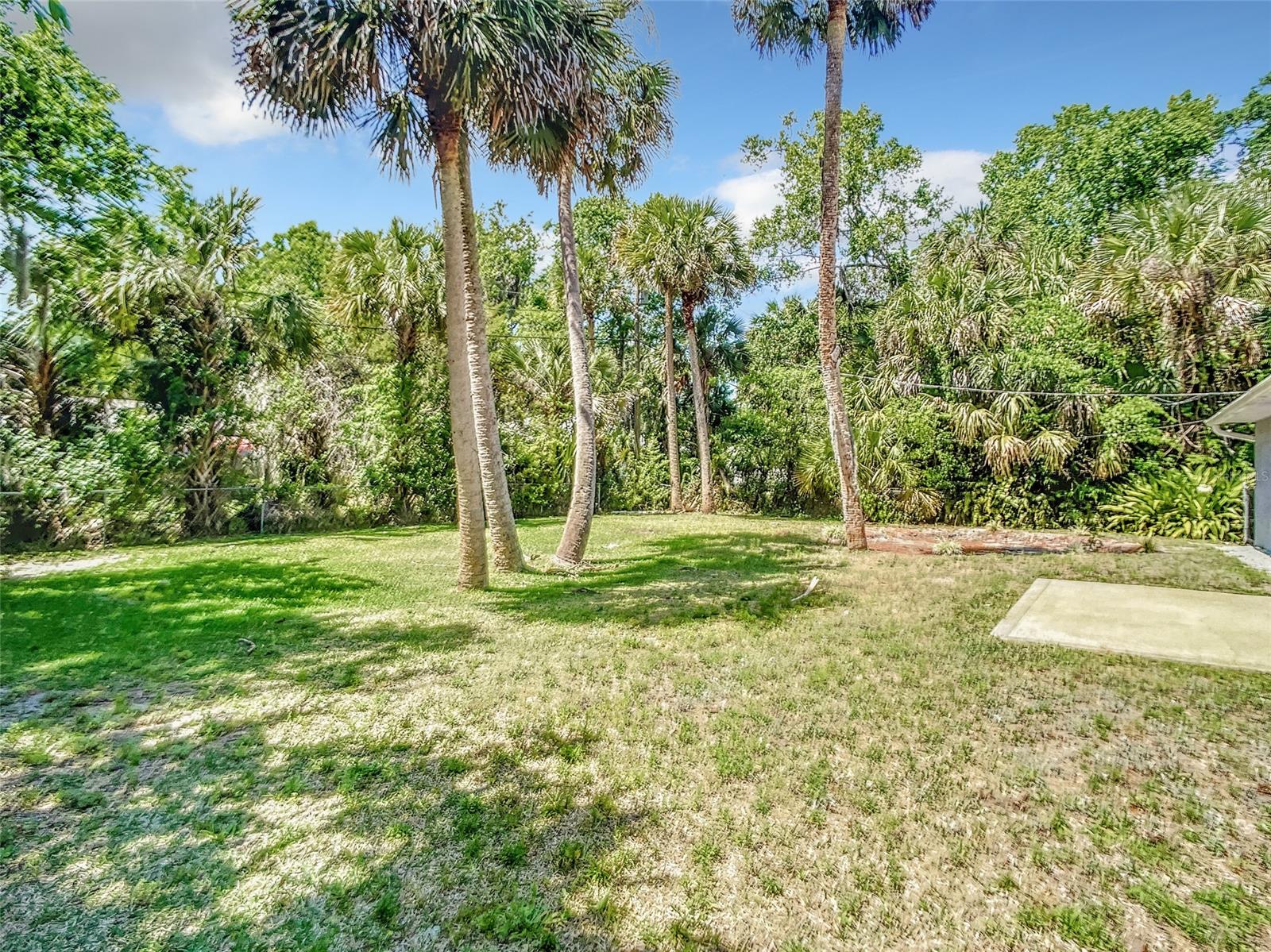 Florida Shores 01 - Residential