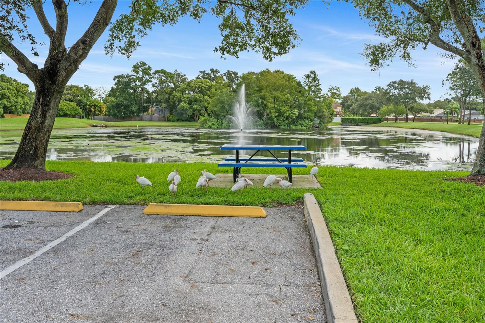 ALAFAYA WOODS - Residential