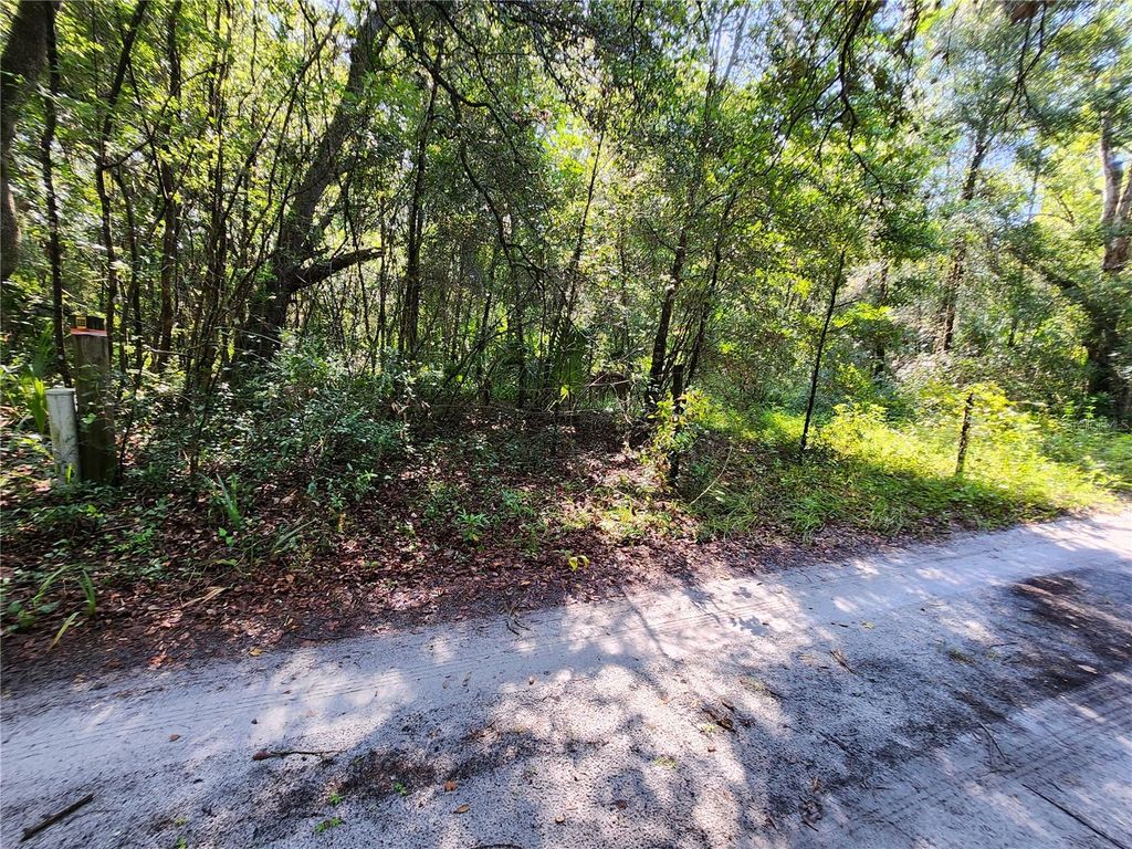Photo of 11921 SE 138th Terrace, Ocklawaha, FL 32179 (MLS # OM708496)