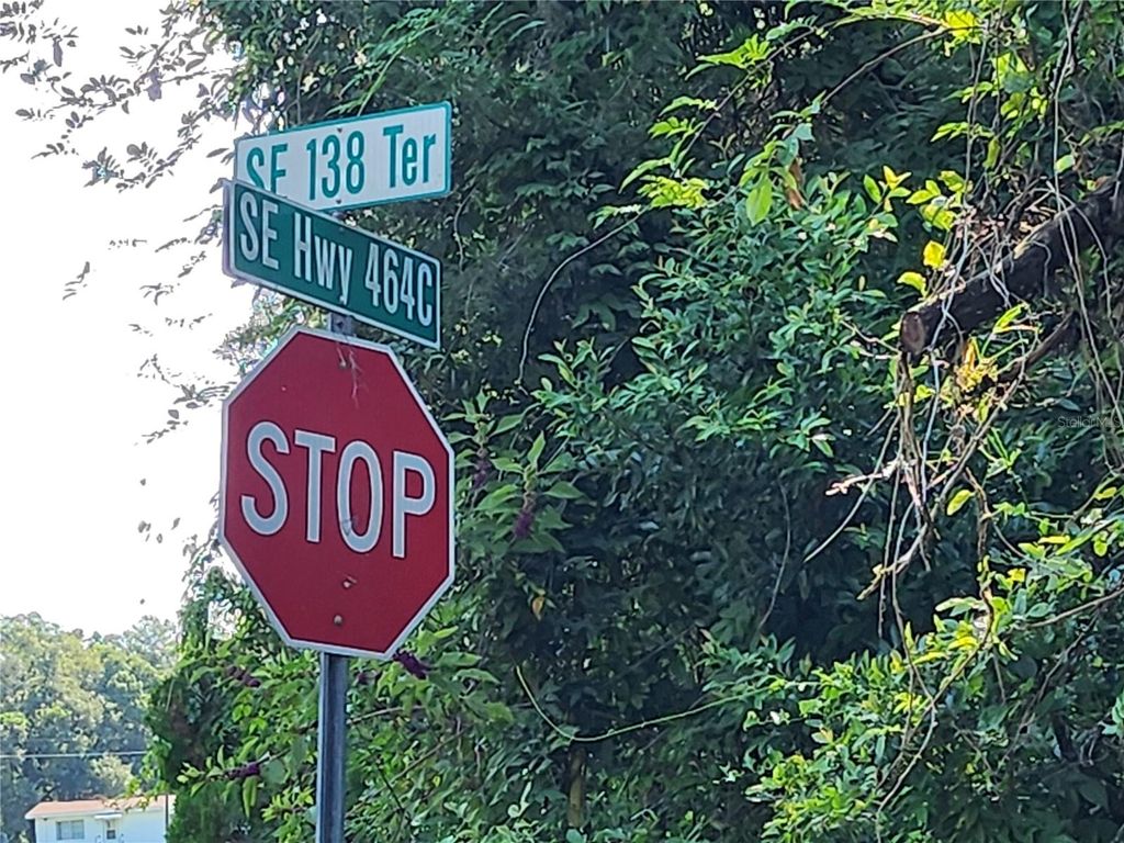 Photo of 11921 SE 138th Terrace, Ocklawaha, FL 32179 (MLS # OM708496)