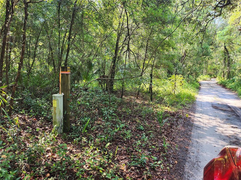 Photo of 11921 SE 138th Terrace, Ocklawaha, FL 32179 (MLS # OM708496)