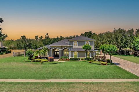 13710 LAKE CAWOOD DRIVE WINDERMERE FL 34786