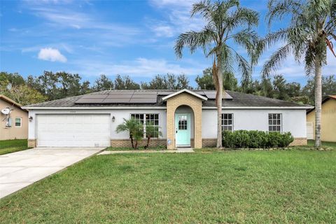 A home in DELTONA