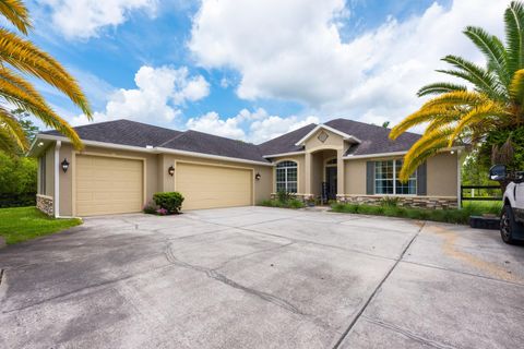 Photo of 20603 Paddock Street, Orlando, FL 32833 (MLS # O6320215)