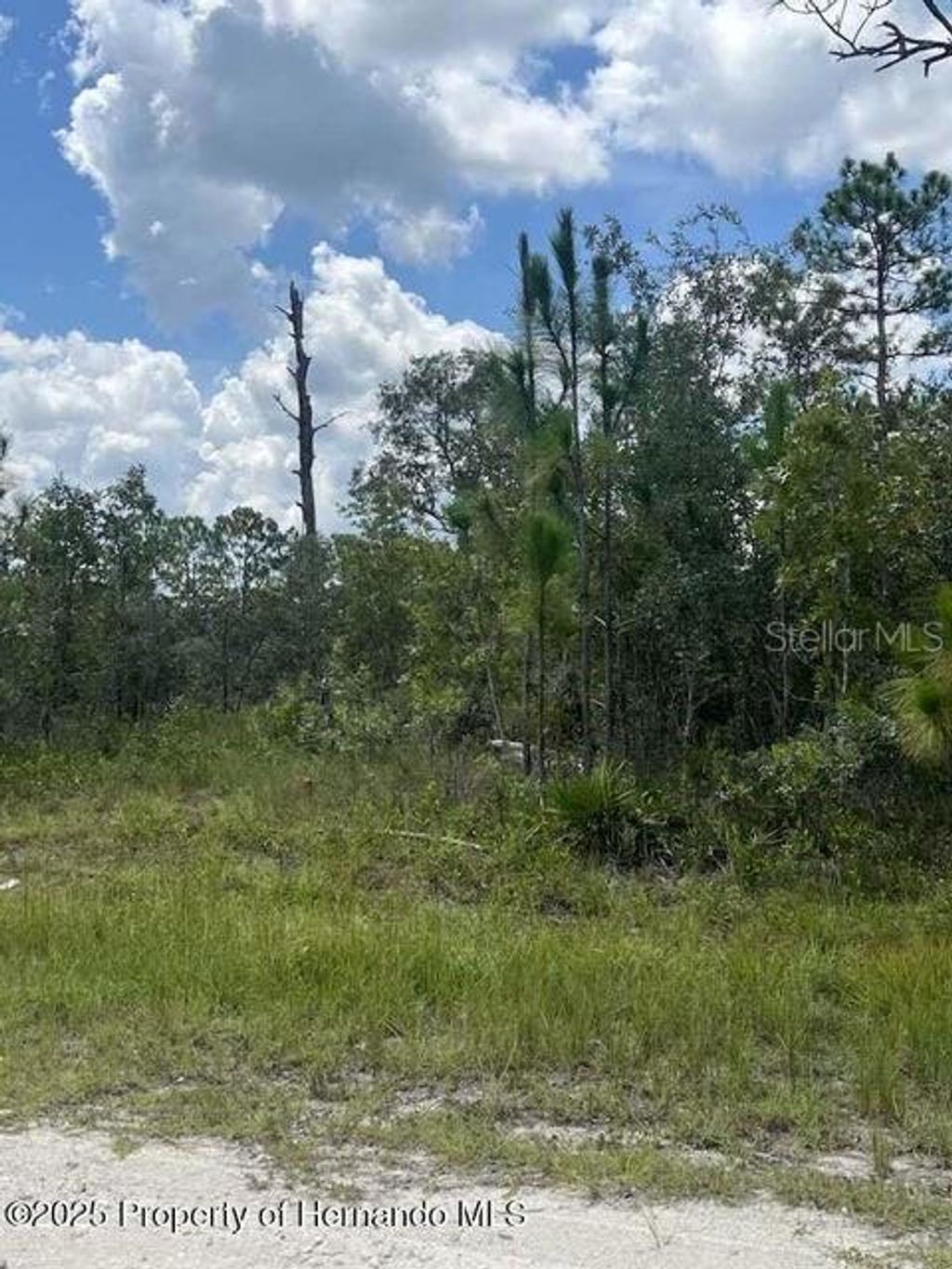 Photo of 0 0 Yellow Frog Avenue, Weeki Wachee, FL 34614 (MLS # TB8417916)