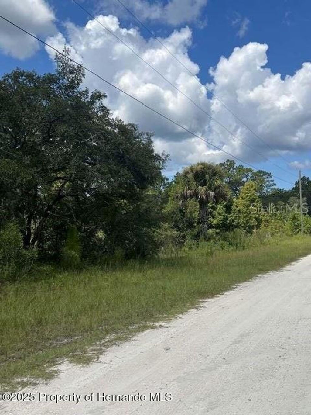 Photo of 0 0 Yellow Frog Avenue, Weeki Wachee, FL 34614 (MLS # TB8417916)