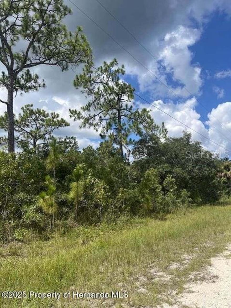 Country  Living on a 1.2 acre lot in Lovely royal Highlands
