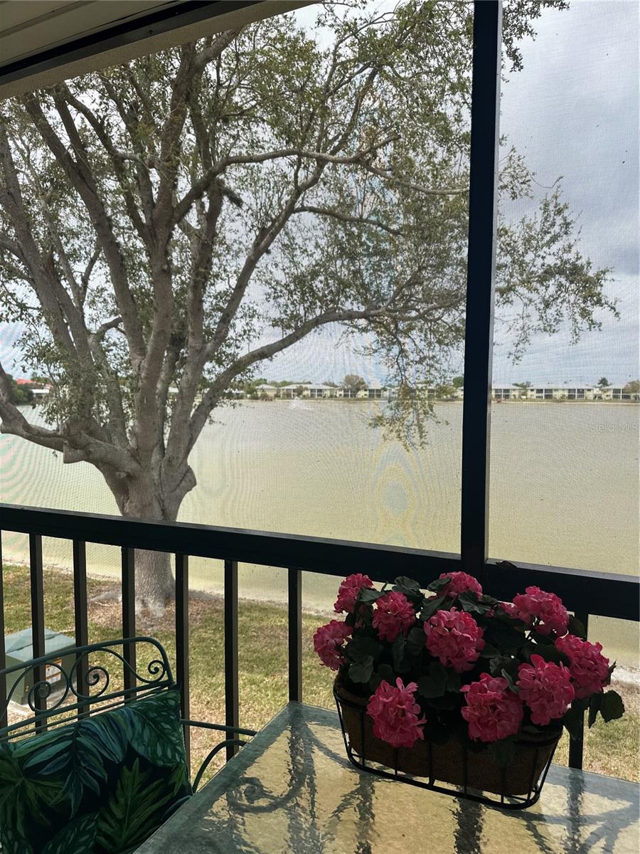 LAKESHORE CHARLOTTE COUNTY PH 01 - Residential