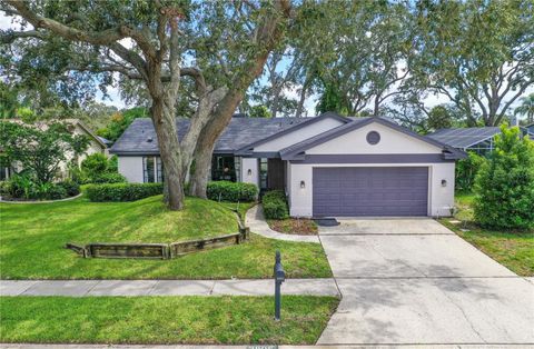 2906 WINDRIDGE DRIVE HOLIDAY FL 34691