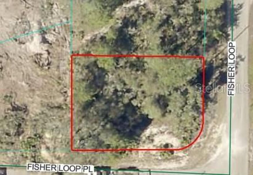 (1) of (2) LOTS FOR SALE BY SAME SELLER.  AFFORDABLE, 0.24 AC., CORNER LOT, HIGH and DRY, FLAT, WOODED BUILDING LOT.  This land is NEAR LAKE WEIR with many more lakes also nearby too w/GOOD TREES on a rectangle shaped lot, and power next door.   A growing area in a GREAT LOCATION for you to build your dream home. Nice, paved roads, easy access to Ocala, Lake Weir or the Villages. NO HOA and SITE BUILT HOMES ONLY. Buy this land to hold as an investment with cheap taxes and no timeline to build and/or purchase an available land/home package and START BUILDING TODAY! https://www.pa.marion.fl.us/patviewer/?PARCEL=. Lot G9035-1007-76 GPS Coordinates: 29.04637050, -81.87098877