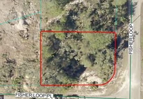 Lot 76 FISHER LOOP OCKLAWAHA FL 32179