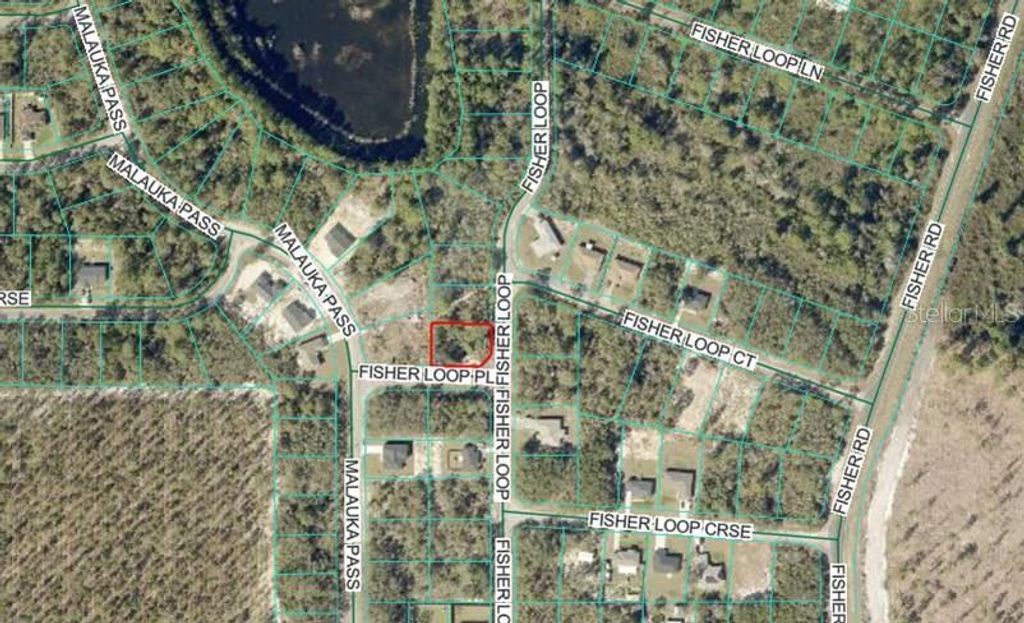 Photo of 76 Fisher Loop, Ocklawaha, FL 32179 (MLS # OM722228)