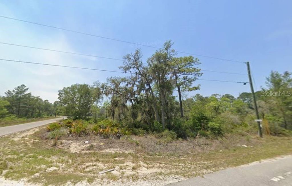 Photo of 76 Fisher Loop, Ocklawaha, FL 32179 (MLS # OM722228)