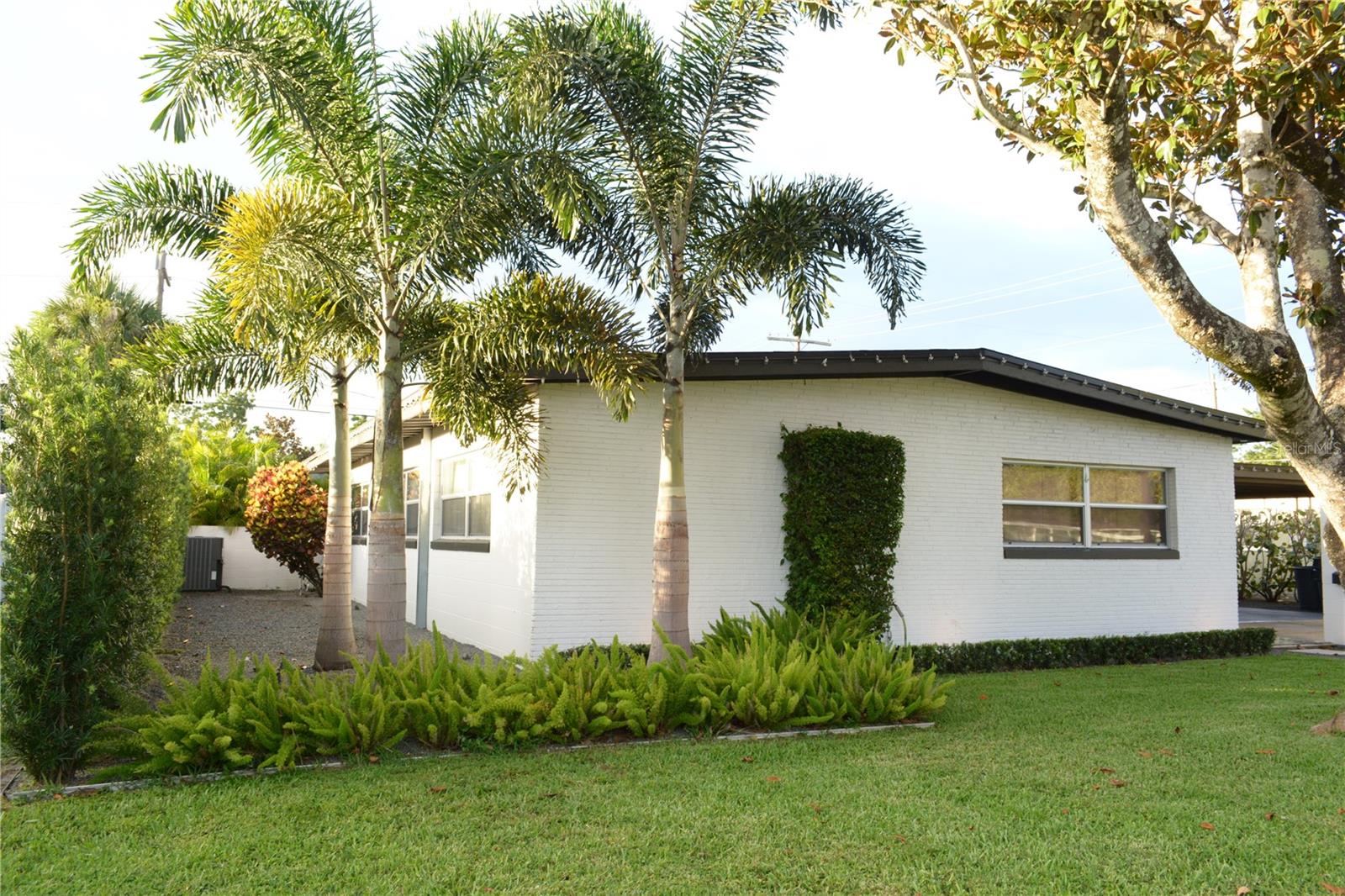 319 HALSEY STREET