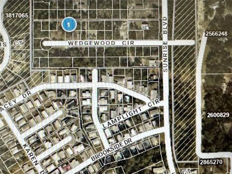 LOT 261 BROOKSIDE CIR MOUNT DORA FL 32757