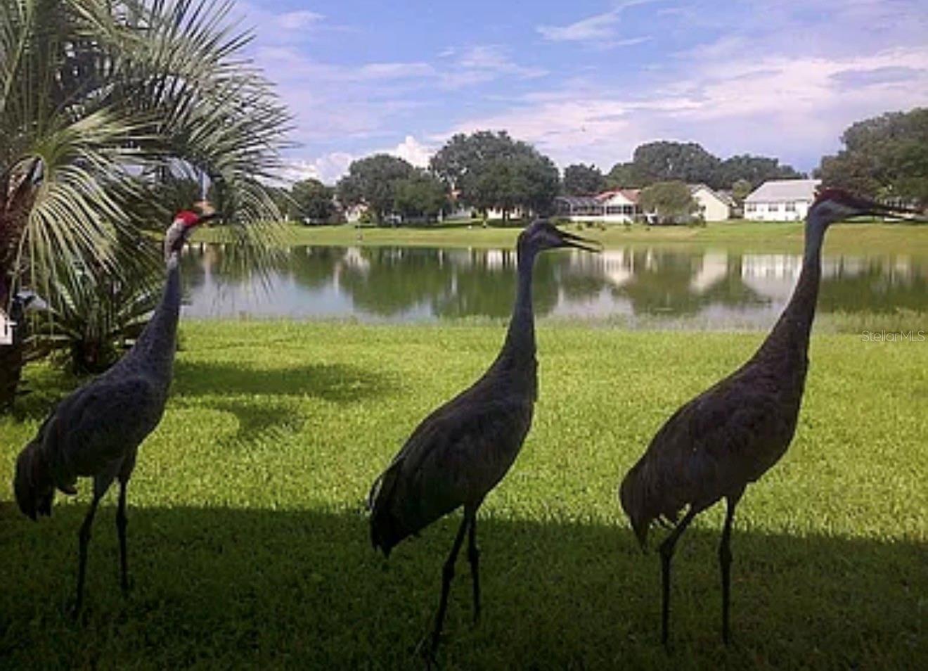 LADY LAKE ORANGE BLOSSOM GARDENS UNIT 18 - Residential