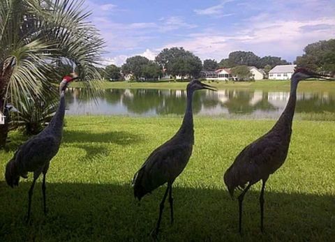 Tiny photo for 307 Del Mar Drive, Lady Lake, FL 32159 (MLS # G5108972)