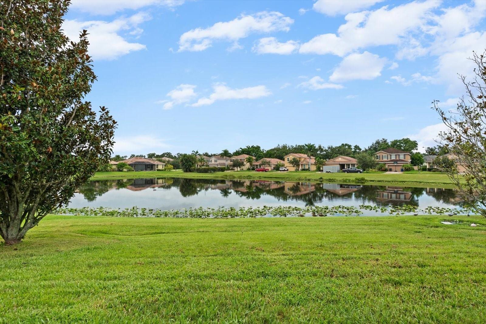 OAKS VISTAS - Residential