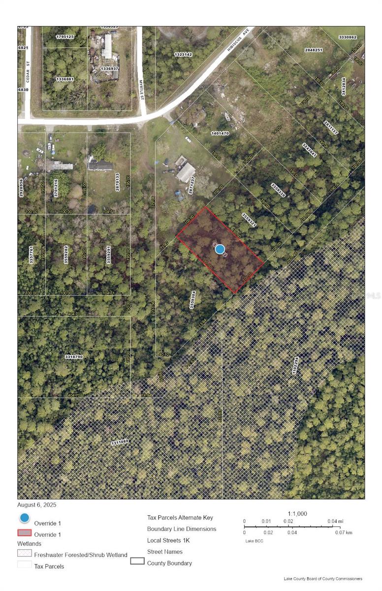 Check out this undeveloped almost half acre lot on Lake County Florida! The buyer is to verify any and all building requirements/restrictions.