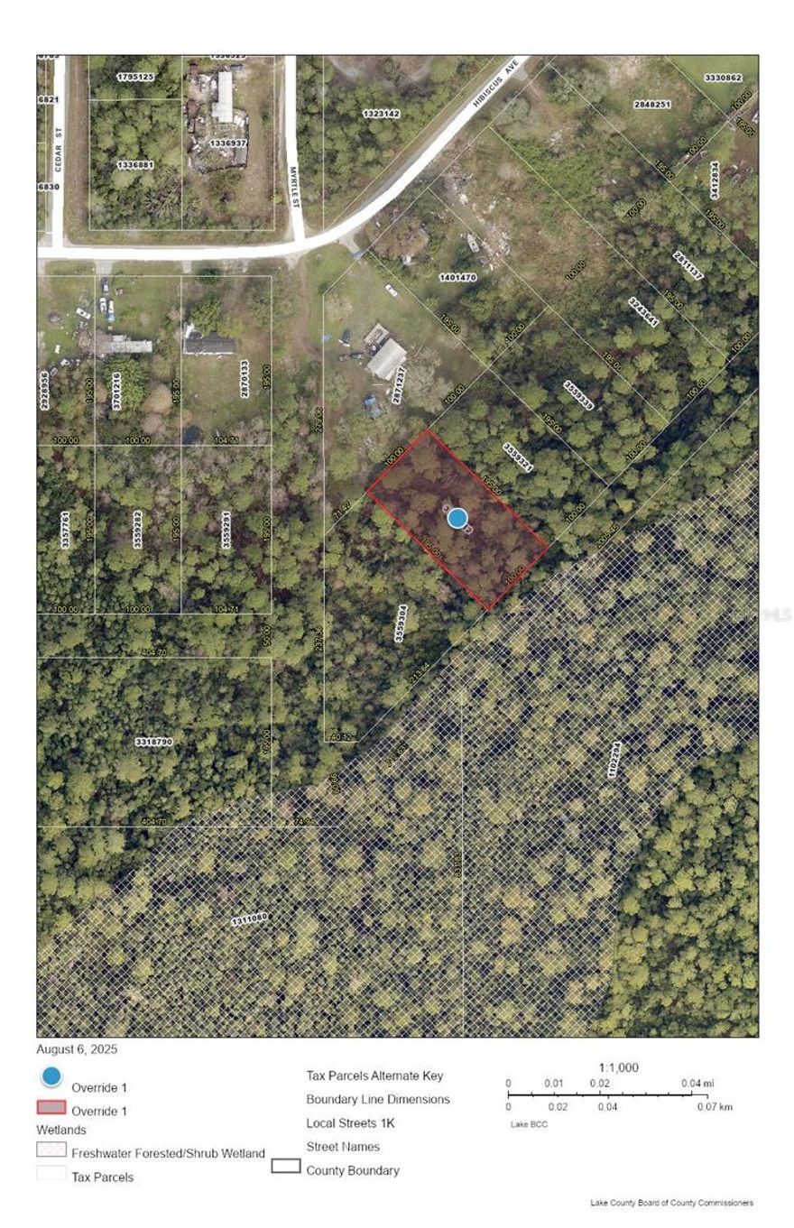 Check out this undeveloped almost half acre lot on Lake County Florida!  The buyer is to verify any and all building requirements/restrictions.