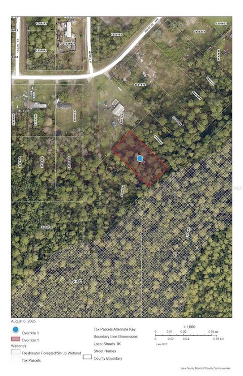 RACCOON STREET PAISLEY FL 32767