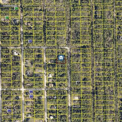 2270 EAST PARKWAY DELAND FL 32724