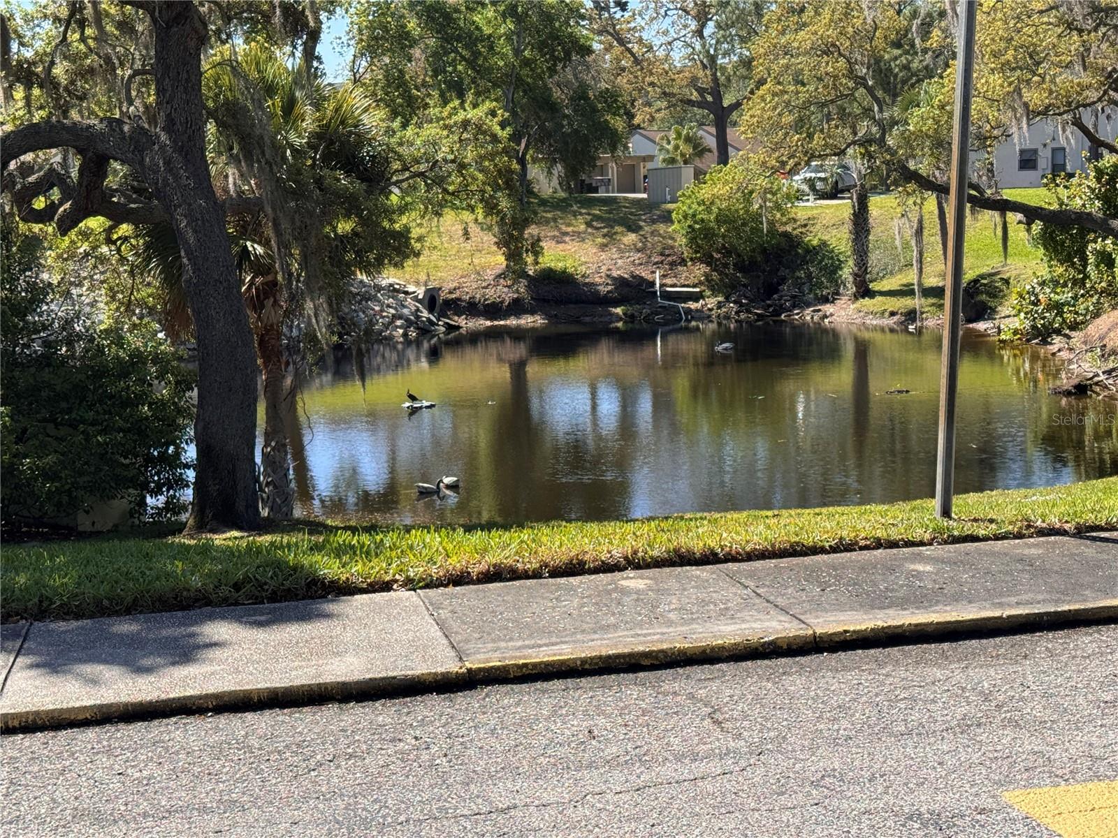 GREEN DOLPHIN PARK CONDO - Residential