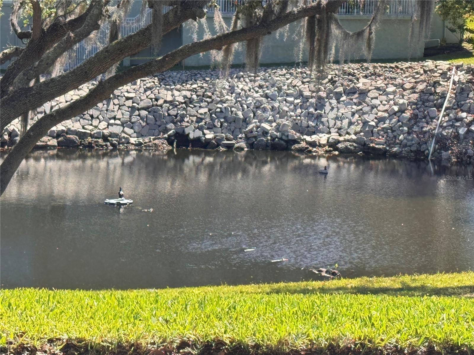 GREEN DOLPHIN PARK CONDO - Residential